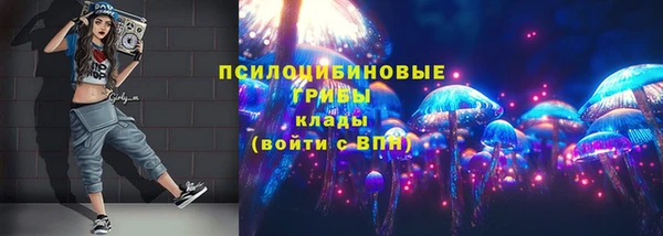 гидра Алзамай
